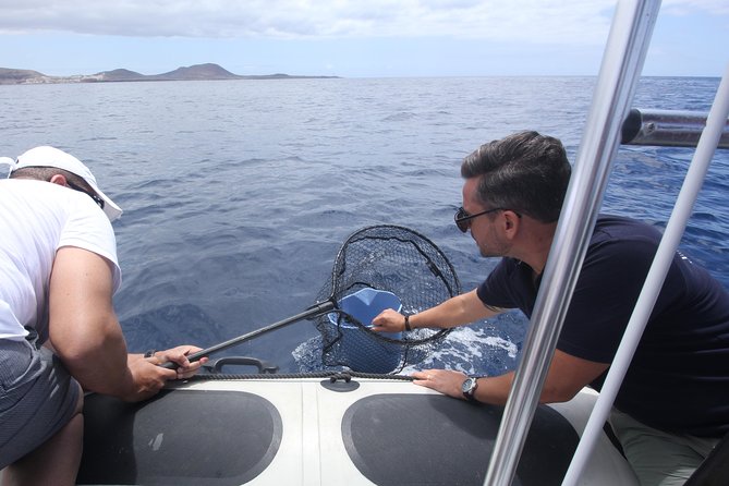 Whale Watching and Marine Science Tour - What the boat ride feels like for families