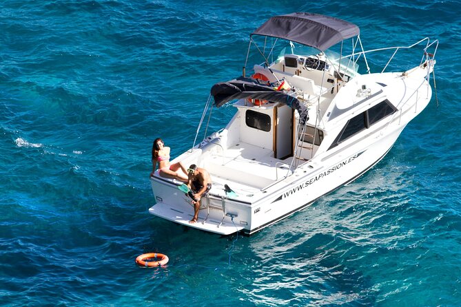 Whale watching and snorkelling in the whale sanctuary - Swimming and snorkelling at Agua Dulce