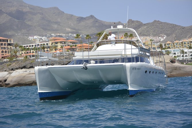 Whale Watching Catamaran Cruise with Transfer, Buffet by MC - What three hours feels like on the water