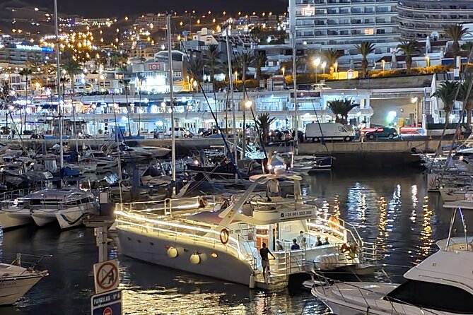 Whale Watching Catamaran Cruise with Transfer, Buffet by MC - Is $71.35 a fair price?