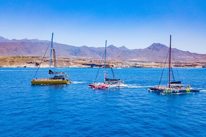 Whale Watching Catamaran in Costa Adeje (Including drinks & Sandwich) - Crew, commentary, and small annoyances
