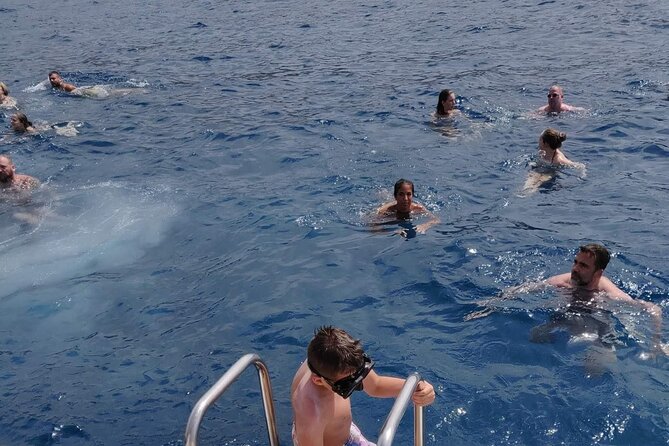 Whale Watching Catamaran in Costa Adeje (Including drinks & Sandwich) - Who will enjoy this trip most
