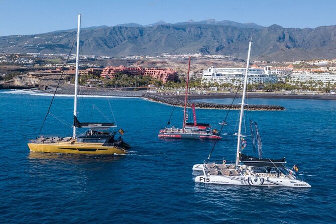 Whale Watching Catamaran in Costa Adeje (Including drinks & Sandwich) - Should you book the Costa Adeje catamaran?