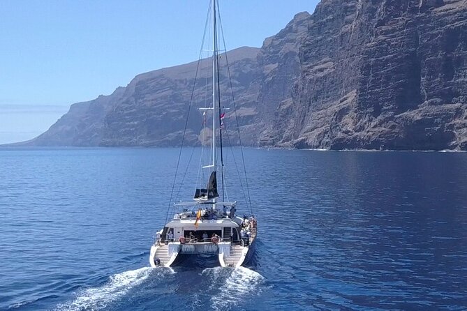 Whale Watching Catamaran to Los Gigantes & Masca (Including drinks & warm lunch) - Sailing from Puerto Colón at 1:15 p.m.