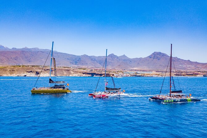 Whale Watching Catamaran to Los Gigantes & Masca (Including drinks & warm lunch) - Lunch, snacks, and the included bar