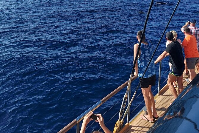 Whale Watching Catamaran to Los Gigantes & Masca (Including drinks & warm lunch) - Cost and what the $72.08 price buys