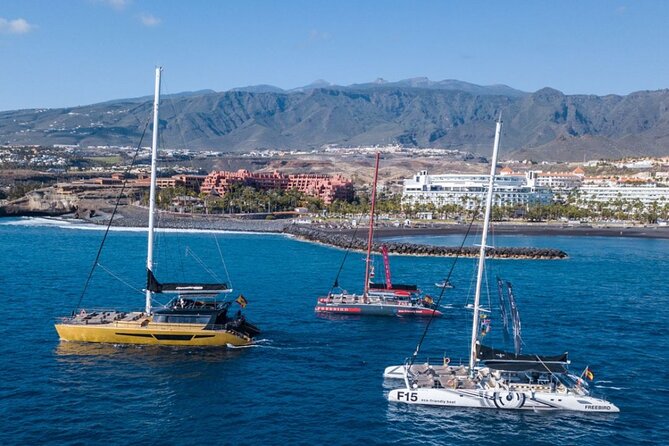 Whale Watching Catamaran to Los Gigantes & Masca (Including drinks & warm lunch) - Practical details before you reserve