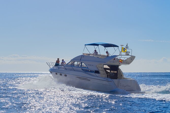 Whales and Dolphins excursion on a Luxury Yacht in Canary Islands - Key points to know before you book