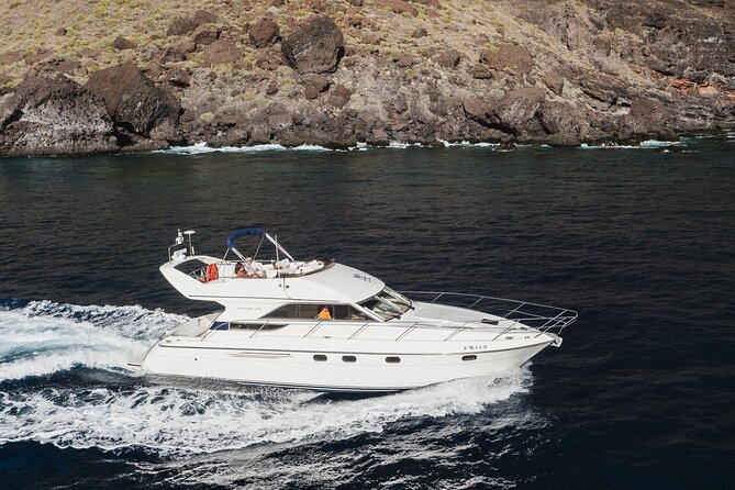 Whales and Dolphins excursion on a Luxury Yacht in Canary Islands - Why this yacht trip feels different from a standard boat tour