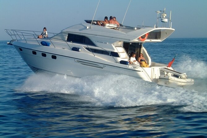 Whales and Dolphins excursion on a Luxury Yacht in Canary Islands - Lunch, tapas, and the onboard bar