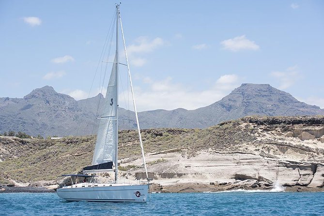 Whales & Dolphins watching in exclusive sailboat - A swim, lunch, and a little time in the sun
