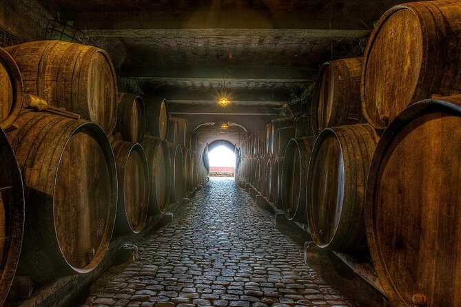 Winery Tour and Tasting in Tenerife with the Sommelier - Weather, group size, and other practical points